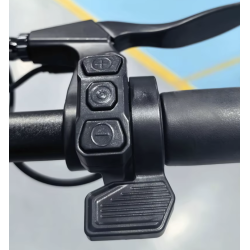 Gashebel für KUGOO F3 PLUS / F3 PRO MAX / LX9+ / LX10+ E-Scooter oder ähnliche Modelle  - 6 Kompatibilität: für KUGOO F3 Plus, F