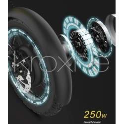 zBike - 250w elektrische fiets - 30 tot 50 km autonomie  - 12 zBike - 250w elektrische fiets - 30 tot 50 km autonomie
Reserveer 