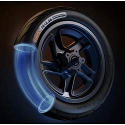 Kompletní přední ráfek s brzdovým kotoučem pro Segway F2, F2 Plus, F2 Pro nebo podobné - 10x2,5 palce Segway - Ninebot - 6 Kompl