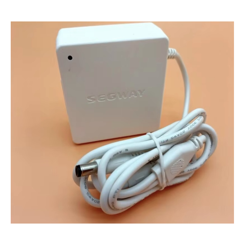 Gnísios esoterikós fortistís batarías gia Segway Ninebot W1 Drift - 25v 1,5A  - 1 Gnísios esoterikós fortistís batarías gia Segw