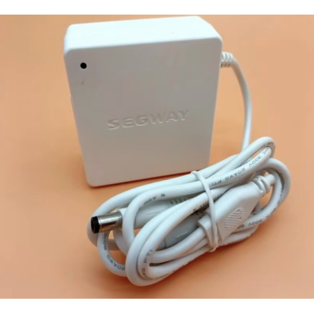 Oryhinalʹnyy vnutrishniy zaryadnyy prystriy dlya Segway Ninebot W1 Drift - 25v 1.5A  - 1 Oryhinalʹnyy vnutrishniy zaryadnyy prys